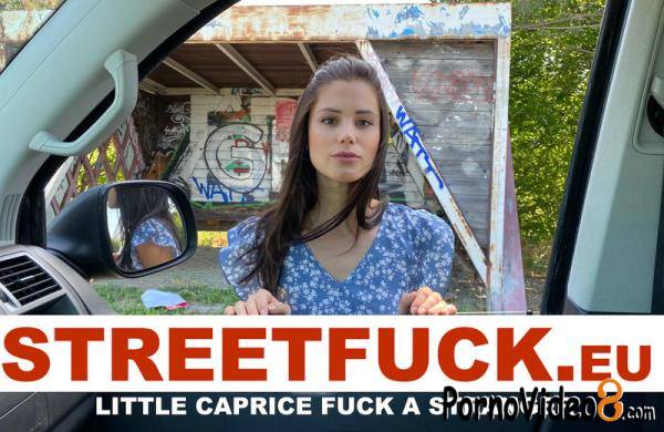 Little Caprice - STREETFUCK fuck a stranger (SD/474p/320 MB)