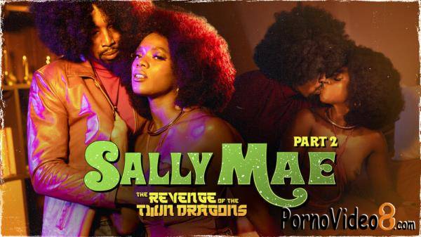 Ana Foxxx - Sally Mae: The Revenge of the Twin Dragons: Part 2 (HD/720p/757 MB)