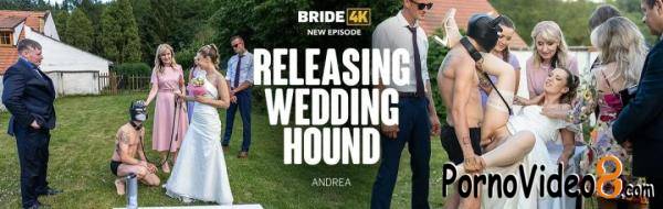 Andrea - Releasing Wedding Hound (FullHD/1080p/2.91 GB)